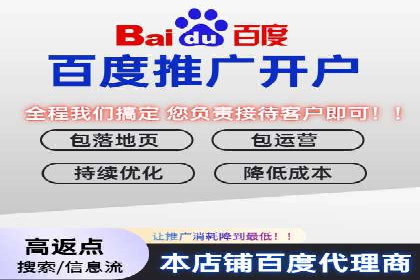 百度竞价排名策略优化：某公司广告投放效果翻倍的秘诀